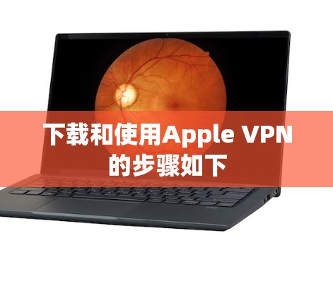 下载和使用Apple VPN的步骤如下