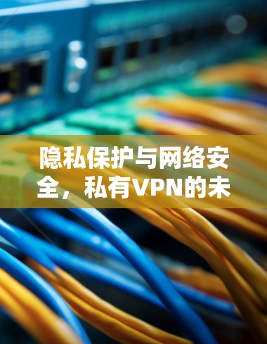 隐私保护与网络安全,私有VPN的未来价值 隐私保护与网络安全,私有VPN的未来价值