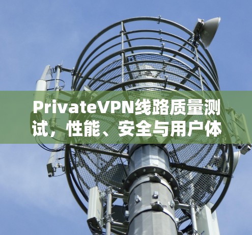 PrivateVPN线路质量测试，性能、安全与用户体验的全面评估