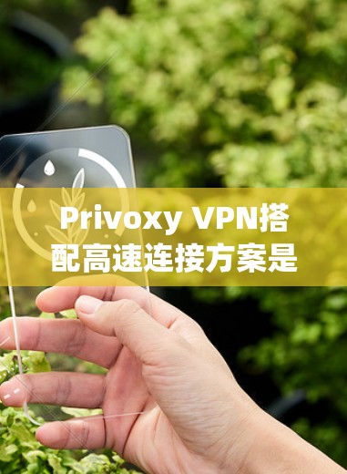 Privoxy VPN搭配高速连接方案是一个高效且安全的VPN连接方式，尤其适用于需要快速切换设备、处理大量数据流量并保持高安全性的用户。以下是具体的操作步骤