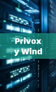 Privoxy Windows版代理软件安装指南，轻松连接本地和远程设备