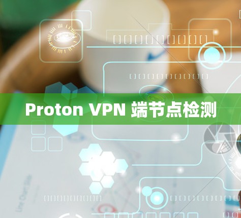 Proton VPN 端节点检测