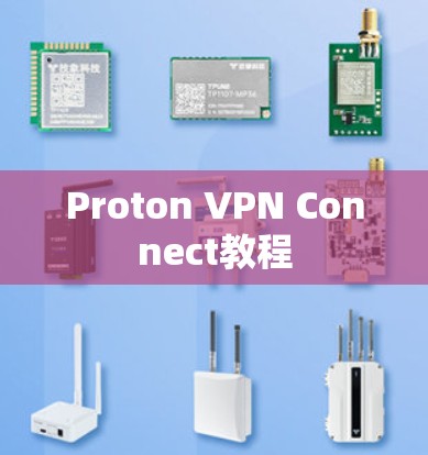 Proton VPN Connect教程