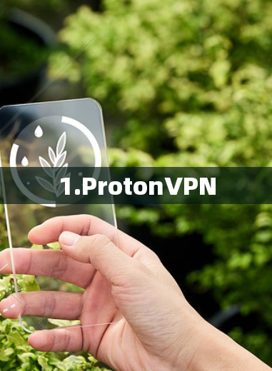 1.ProtonVPN 1.ProtonVPN