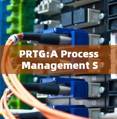 PRTG:A Process Management System