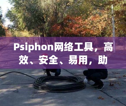 Psiphon网络工具，高效、安全、易用，助力通信系统优化
