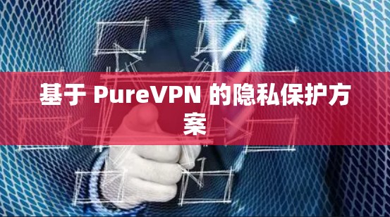 基于 PureVPN 的隐私保护方案