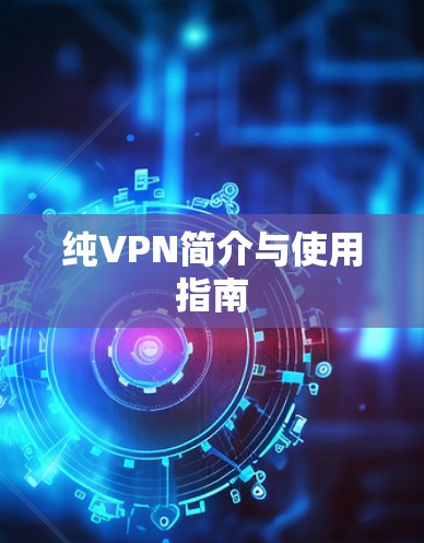 纯VPN简介与使用指南