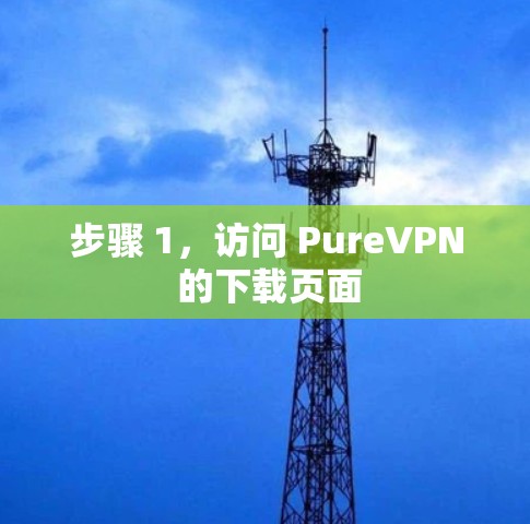 步骤 1，访问 PureVPN 的下载页面