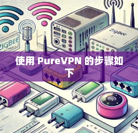 使用 PureVPN 的步骤如下