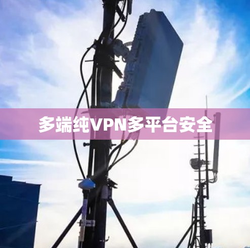 多端纯VPN多平台安全 多端纯VPN多平台安全
