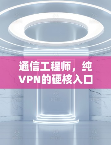 通信工程师，纯VPN的硬核入口