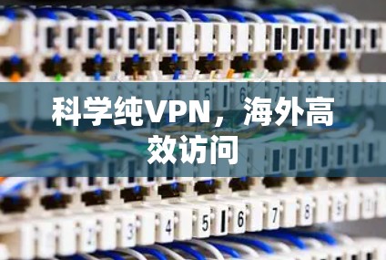 科学纯VPN，海外高效访问