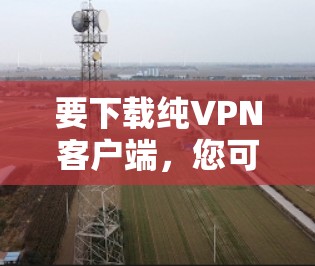 要下载纯VPN客户端，您可以按照以下步骤操作