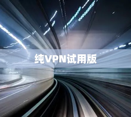 纯VPN试用版