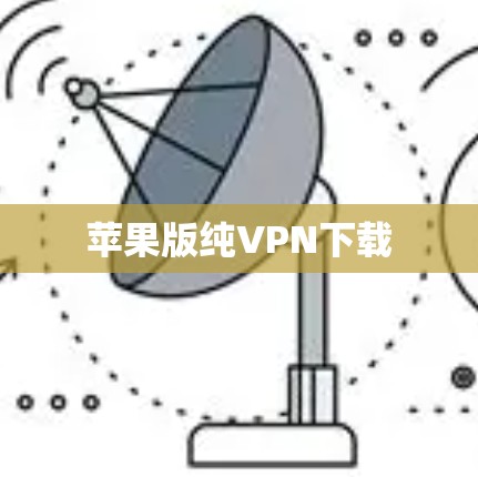 苹果版纯VPN下载