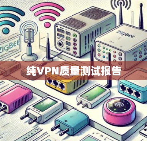 纯VPN质量测试报告