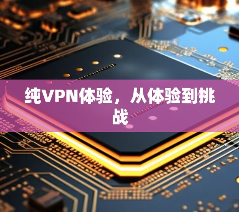 纯VPN体验，从体验到挑战