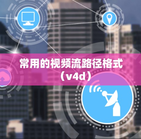 常用的视频流路径格式(v4d)