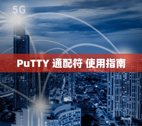 PuTTY 通配符 使用指南