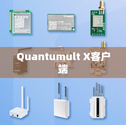 Quantumult X客户端