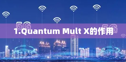 1.Quantum Mult X的作用