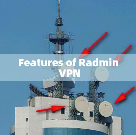 Features of Radmin VPN
