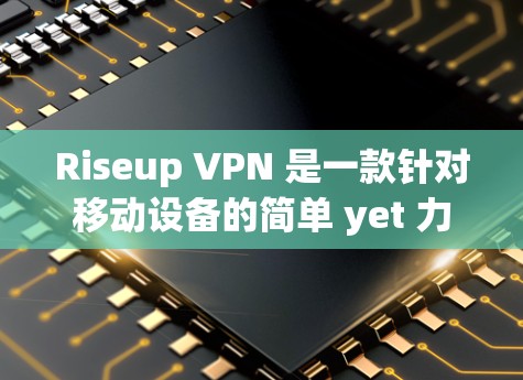 Riseup VPN 是一款针对移动设备的简单 yet 力ful VPN 软件，适合需要加密连接和过滤网络流量的用户。以下是其使用体验的详细分析