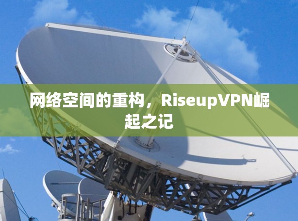 网络空间的重构,RiseupVPN崛起之记