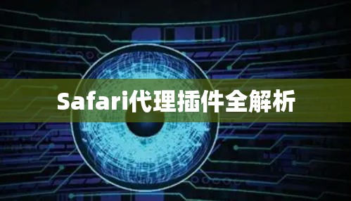 Safari代理插件全解析