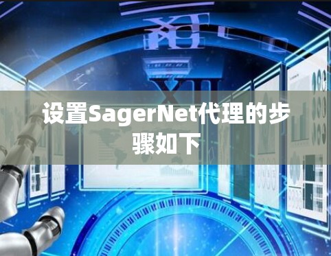 设置SagerNet代理的步骤如下
