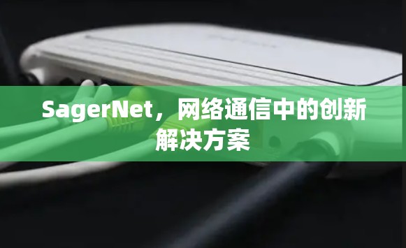 SagerNet，网络通信中的创新解决方案