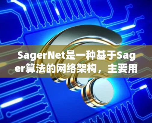 SagerNet是一种基于Sager算法的网络架构，主要用于通信网络的设计和优化。线路测试是评估SagerNet网络性能的重要步骤，确保网络的稳定性、带宽和可靠性