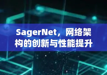 SagerNet，网络架构的创新与性能提升