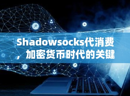 Shadowsocks代消费,加密货币时代的关键机遇 Shadowsocks代消费,加密货币时代的关键机遇