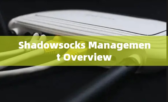 Shadowsocks Management Overview