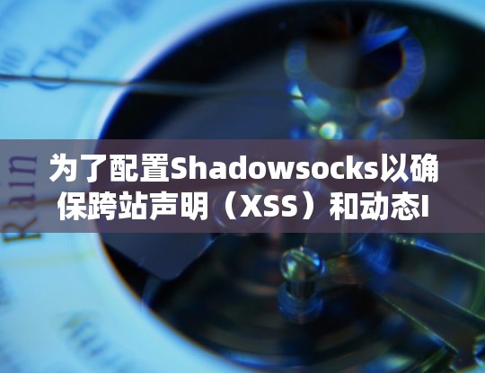 为了配置Shadowsocks以确保跨站声明（XSS）和动态IP地址的安全，可以按照以下步骤进行