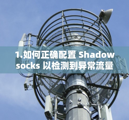1.如何正确配置 Shadowsocks 以检测到异常流量？