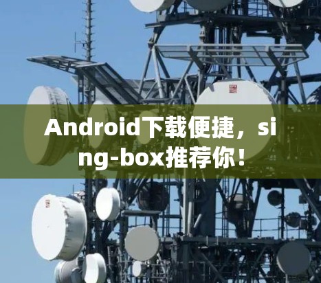 Android下载便捷，sing-box推荐你！