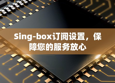 Sing-box订阅设置,保障您的服务放心 Sing-box订阅设置,保障您的服务放心