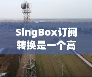 SingBox订阅转换是一个高效的订阅管理系统，支持将现有订阅转换为新格式或更新现有订阅。以下是使用SingBox订阅转换的详细步骤