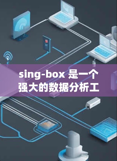 sing-box 是一个强大的数据分析工具，适用于多种数据分析需求。以下是对 sing-box 的详细总结和步骤指南，帮助你更好地使用它