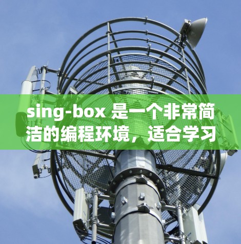sing-box 是一个非常简洁的编程环境，适合学习和实践基础的编程概念。以下是 sing-box 的教程内容