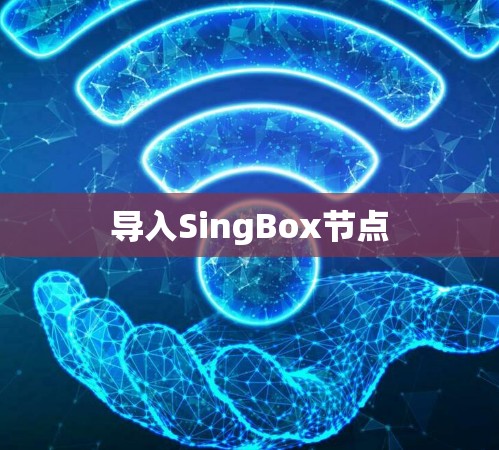 导入SingBox节点 导入SingBox节点
