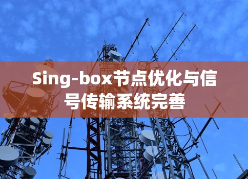 Sing-box节点优化与信号传输系统完善