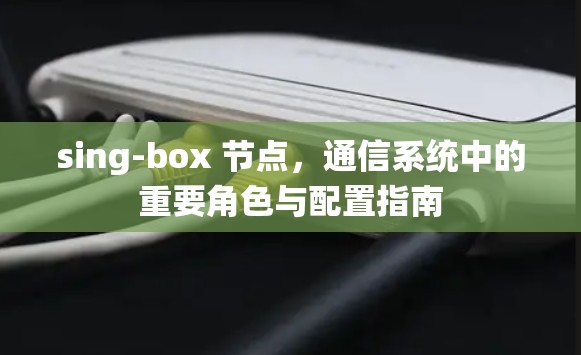 sing-box 节点，通信系统中的重要角色与配置指南