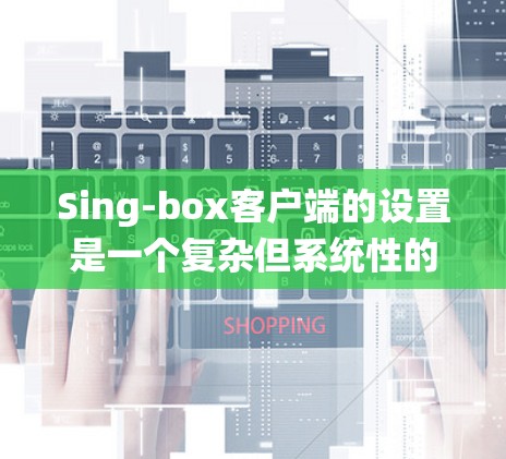 Sing-box客户端的设置是一个复杂但系统性的过程，需要对各个配置部分进行仔细管理。以下是一个详细的步骤指南，帮助您顺利完成Sing-box客户端的设置