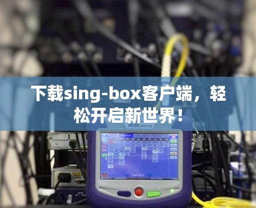 下载sing-box客户端,轻松开启新世界! 下载sing-box客户端,轻松开启新世界!