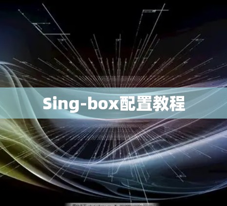 Sing-box配置教程