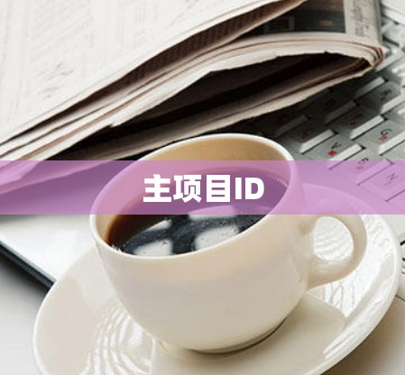 主项目ID 主项目ID